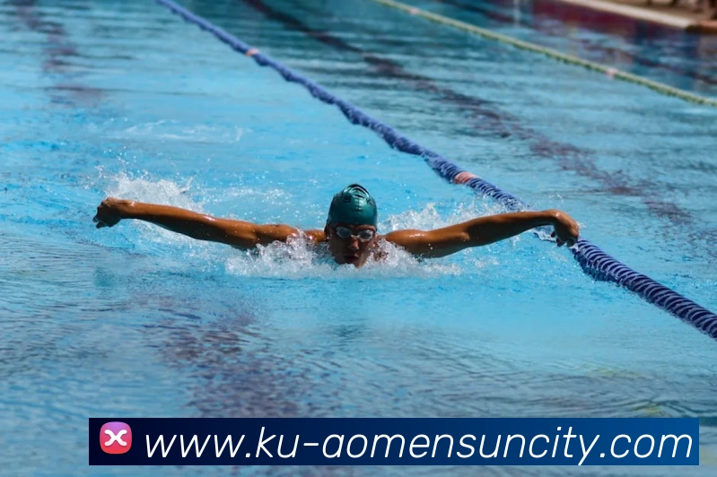 澳门太阳城平台生态图